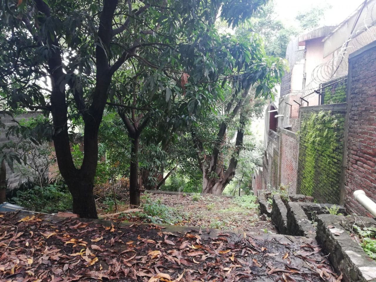 Terrenos en Club de Golf Cuernavaca